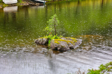 Wall Mural - Norway landscape on a cloudy summer day