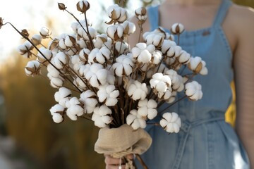 Sticker - Close-up of a unrecognizable woman holding a fresh bouquet of natural cotton bolls