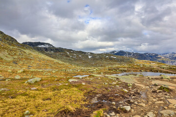 Sticker - Norway landscape on a sunny summer day