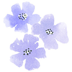 Poster - Purple flowers png sticker, watercolor design, transparent background