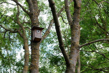 Birdhouse attached to tree