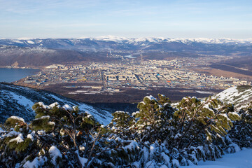 Wall Mural - View from the mountain to the city of Magadan. In the foreground is a snow-covered dwarf cedar tree. A large northern city located on the sea coast among the mountains. Magadan, Magadan region, Russia