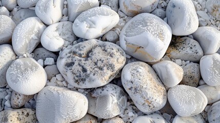Wall Mural - small stone pebbles coated in a white frosty layer of rime ice.