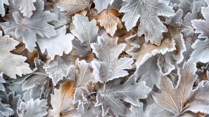 Wall Mural - a of dead leaves encased in a thick layer of rime ice suspended in midair.