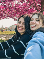 two happy girlfriends taking selfie under blooming sakura tree