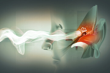 The anatomical structure of the human ear, sound wave and ear with middle ear, otitis, auditory canal, ear pain, auditory canal and cochlea nerve, 3d illustration