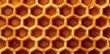 © Siasart Studio - waffle texture of honeycomb in the shape of a honeycomb