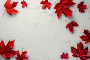 Wall Mural - bright red maple leaves arranged as a border on a textured white surface