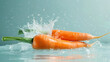 © 王原 - Vegetable poster the water dripped over the fresh carrots