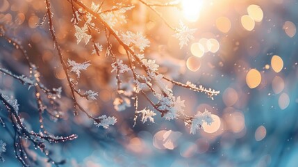 Wall Mural - Abstract blurred background of snow and ice crystals melting on a tree branch in the sunlight with bokeh