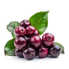 Wall Mural - Coffee berry isolated on white background 