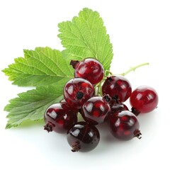 Wall Mural - Currant isolated on white background  