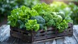 © Godam - Fresh Vegetables In Wooden Crate On Rustic Background