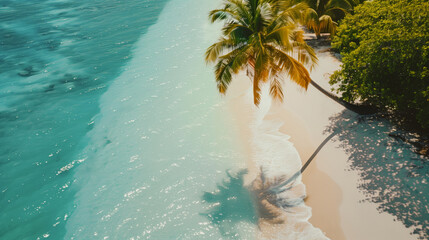 Wall Mural - Aerial view of the tropical green coastline and white sandy beach