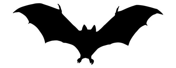 Wall Mural - bat silhouette on a white background of illustration vector