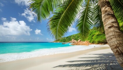Wall Mural - palm tree on tropical beach anse georgette in paradise on praslin seychelles