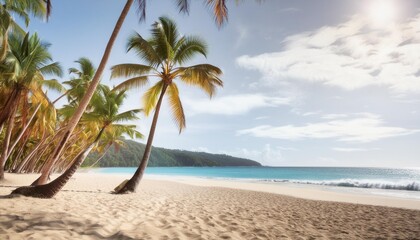 Wall Mural - iconic beach views with palm trees in foreground