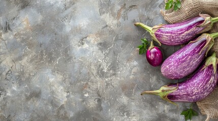 Wall Mural - A top-down view of four vibrant purple eggplants on a gray stone background. The eggplants are arranged in a flat lay with copy space