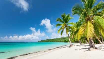 Wall Mural - sunny tropical white sand beach with coco palms and the turquoise sea on jamaica caribbean island