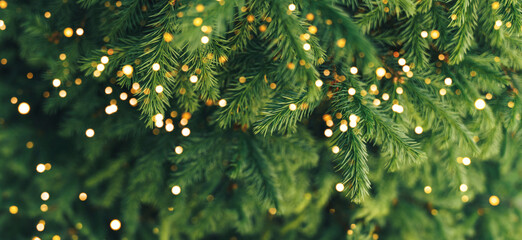 Wall Mural - a close-up of a young fir branch with a garland in the summer.