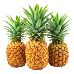 pineapple isolated on transparent background.