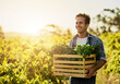 © Lyndon/peopleimages.com - Farming, smile and man with vegetables in box for agriculture, production and growth in nature. Happy, farmer and container with organic produce for sustainable business, environment and harvest