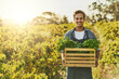 © Lyndon/peopleimages.com - Vegetables, farming and portrait of man with box for agriculture, growth and production in nature. Happy, farmer and container with healthy food for sustainable business, organic produce and harvest