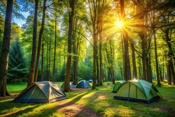 A picturesque camping scene in a European forest, with sunlight dappling through the leaves of tall trees, illuminating a cluster of tents pitched on a lush green meadow, European camping