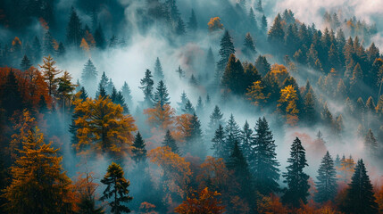 Wall Mural - autumn landscape in the mountains