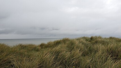  Atlantic beach scene, Beach and ocean, Dunes in the Normandy, France