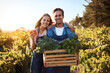 © Lyndon/peopleimages.com - Agriculture, box and pepper with portrait of couple on farm together for organic food, growth or produce. Crate, love or smile with happy man and woman holding vegetables for harvest in season