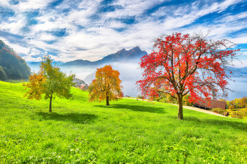 Wall Mural - gorgeous autumn view on suburb of stansstad city and lucerne lake with mountaines and fog