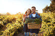 © Lyndon/peopleimages.com - Crate, farm and pepper with portrait of couple outdoor together for organic food, growth or produce. Agriculture, love or smile with man and woman holding box of vegetables for harvest in season