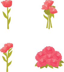 Poster - Beautiful and colorful poppy flowers set with variations on isolated white background for floral nature bloom and blossom single flower bouquet bunch petals pink red green stem plants natural spring s