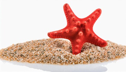 Wall Mural - red starfish isolated on transparency photo png file