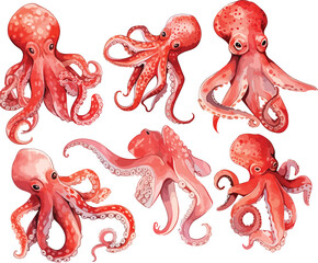 Poster - octopus clipart vector for graphic resources	
