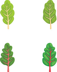 Poster - Colorful collection of four cartoon spinach leaves with different designs, isolated on white