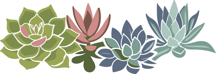 Wall Mural - Vector Illustration of Colorful Succulents: Nature and Diversity