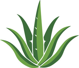 Poster - Vector Illustration of Aloe Vera Plant Representing Natural Healing