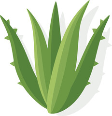 Poster - Vector Aloe Vera Illustration Representing Natural Healing