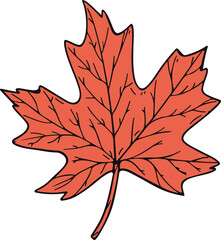 autumn illustration of orange maple leaf representing fall and nature