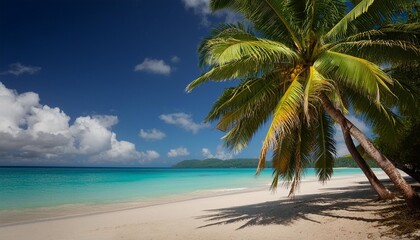 Poster - view of nice tropical beach with palm tree holiday and vacation concept