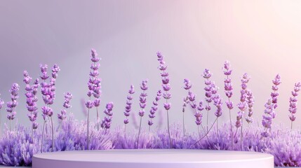 Wall Mural - Floral Podium Background. Lavender Dream. Lavender podium flower background purple product nature platform stand summer 3d table.