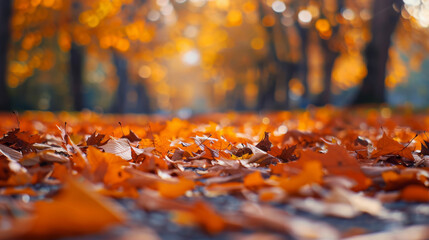 Wall Mural - an autumn park, vibrant orange leaves on trees, a blanket of fallen leaves on the ground