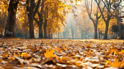 Wall Mural - A tranquil autumn park displaying fading shades of fall with golden leaves carpeting the ground --ar 16:9 --style raw Job ID: 58c076e1-92e5-4081-bb5b-7a48f5c231d5