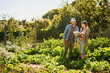 © peopleimages.com - Agriculture, farmer and partner in discussion with document for plant growth or harvest vegetables in nature. Man, woman and happy couple at garden farm together for planning food production at field