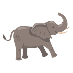 Sticker - baby elephant wildlife animal