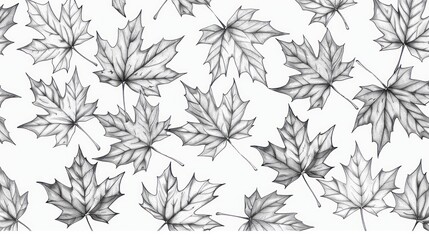 Wall Mural - Autumn dry maple leaves Black and white pattern background.