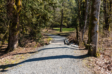 Wall Mural - pedestrian pathway and beautiful trees track for running or walking and cycling relax in the park sunlight concept