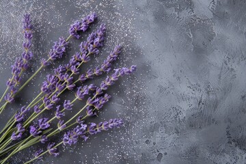 Poster - Yellow Lavender Blossoms in Top View Against Glittering Backdrop. Floral Beauty Overhead.